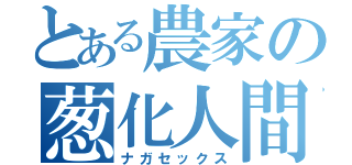 とある農家の葱化人間（ナガセックス）