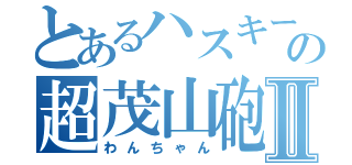 とあるハスキー犬の超茂山砲Ⅱ（わんちゃん）