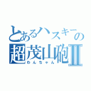 とあるハスキー犬の超茂山砲Ⅱ（わんちゃん）