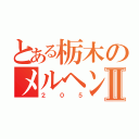 とある栃木のメルヘンⅡ（２０５）