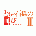 とある石橋の叫びⅡ（つまり眠い）