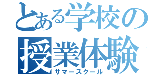 とある学校の授業体験（サマースクール）