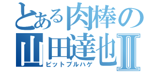 とある肉棒の山田達也Ⅱ（ピットブルハゲ）