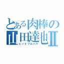 とある肉棒の山田達也Ⅱ（ピットブルハゲ）