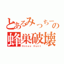 とあるみっちーの蜂巣破壊（Ｈｏｎｅｙ Ｈｕｎｔ）