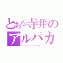 とある寺井のアルパカ愛ｗ（（「・ω・）「アルパカー）