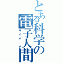 とある科学の電子人間（サイボーグ）