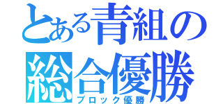 とある青組の総合優勝（ブロック優勝）