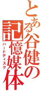 とある谷健の記憶媒体（ハードディスク）