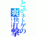 とあるネトゲの爽快打撃（スカットゴルフ）