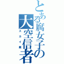 とある腐女子の大空信者（スカイ廃）