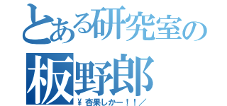 とある研究室の板野郎（\\杏果しかー！！／）