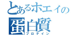 とあるホエイの蛋白質（プロテイン）