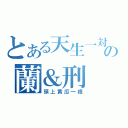 とある天生一対の蘭＆刑（頭上黄瓜一根）