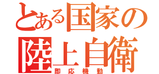 とある国家の陸上自衛（即応機動）