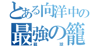 とある向洋中の最強の籠球（籠球）