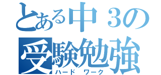 とある中３の受験勉強（ハード ワーク）