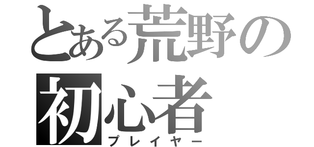 とある荒野の初心者（プレイヤー）