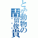 とある動物の吉留俊貴Ⅱ（カエル）