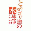 とあるゴリ達の水球部（成城学園）