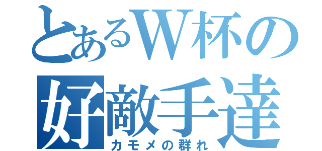 とあるＷ杯の好敵手達（カモメの群れ）