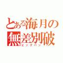 とある海月の無差別破壊（ビッグバン）