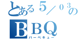 とある５／０３のＢＢＱ（バーベキュー）