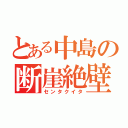 とある中島の断崖絶壁（センタクイタ）