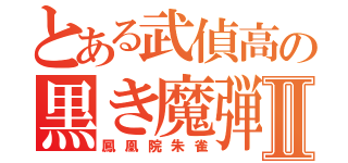 とある武偵高の黒き魔弾Ⅱ（鳳凰院朱雀）