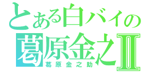 とある白バイの葛原金之助Ⅱ（葛原金之助）