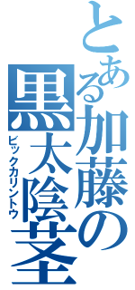 とある加藤の黒太陰茎（ビックカリントウ）