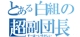 とある白組の超副団長（すーぱーいそがしい）