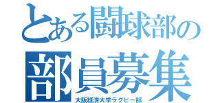 とある闘球部の部員募集（大阪経済大学ラグビー部）