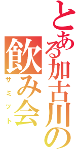 とある加古川の飲み会（サミット）