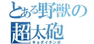 とある野獣の超太砲（キョダイチンポ）