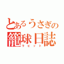 とあるうさぎの籠球日誌（ラビット）