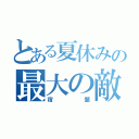 とある夏休みの最大の敵（宿題）