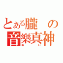 とある朧の音樂真神之界（若い）