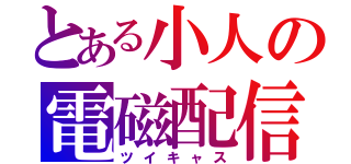 とある小人の電磁配信（ツイキャス）