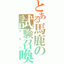 とある馬鹿の試験召喚獣（サモン）