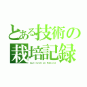 とある技術の栽培記録（Ｃｕｌｔｉｖａｔｉｏｎ Ｒｅｋｏｒｄ）