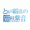 とある覇道の猫柱紫音（※放浪癖有）