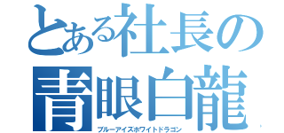 とある社長の青眼白龍（ブルーアイズホワイトドラゴン）