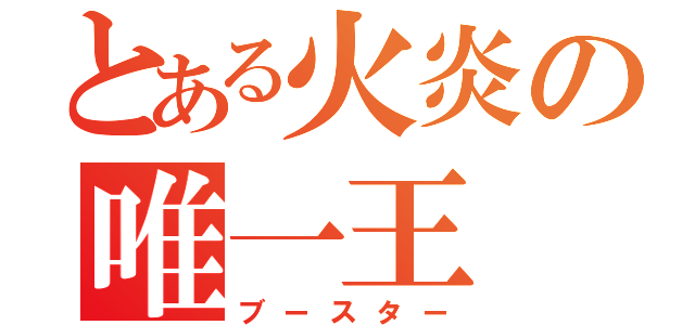 とある火炎の唯一王（ブースター）