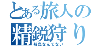 とある旅人の精鋭狩り（慈悲なんてない）