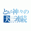 とある神々の犬三連続（ケルベロス）