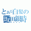 とある白髪の坂田銀時（ぎんさん）