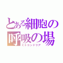 とある細胞の呼吸の場（ミトコンドリア）