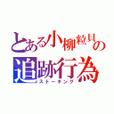 とある小柳粒貝の追跡行為（ストーキング）