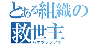 とある組織の救世主（ハマヅラシアゲ）